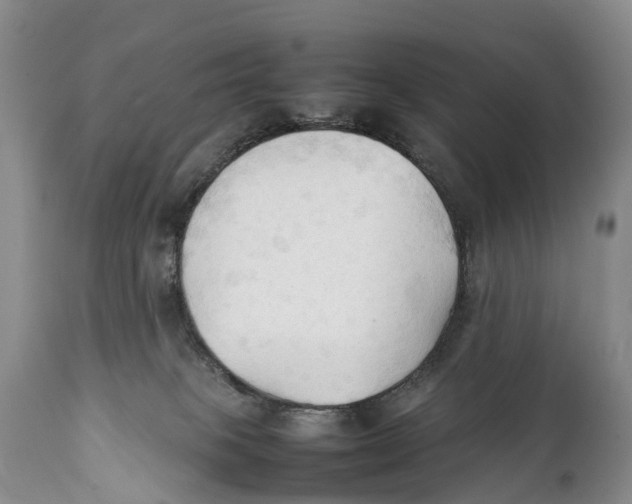 X0000111950085200908241214