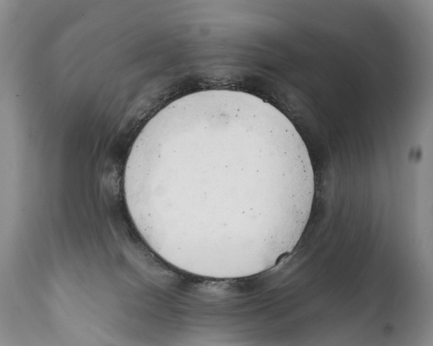X0000111950086200908241214
