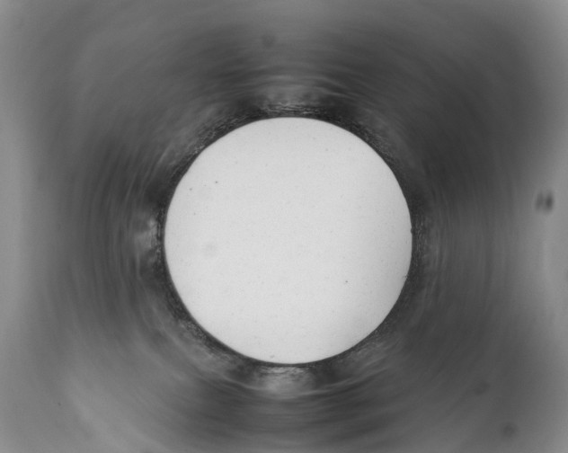 X0000111950087200908241214