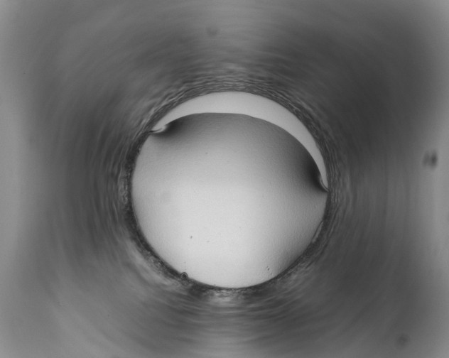 X0000111950088200908241214