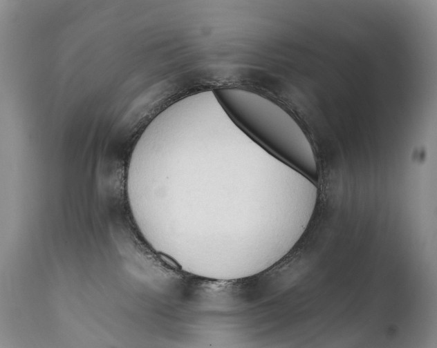 X0000111950092200908241214