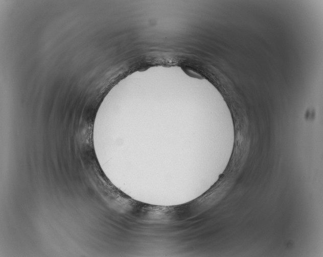 X0000111950096200908241214