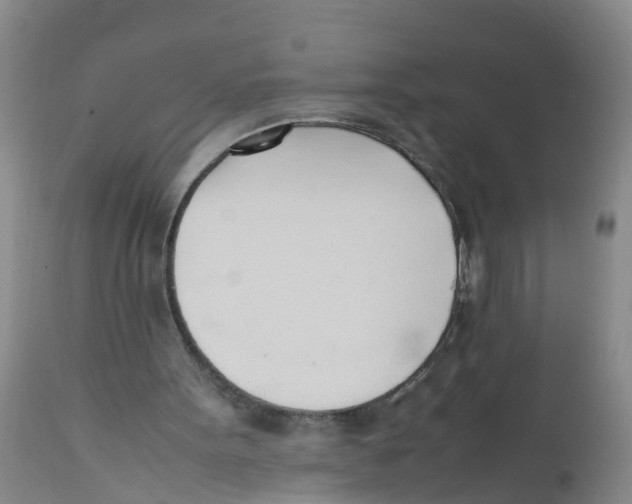 X0000111950099200908241214
