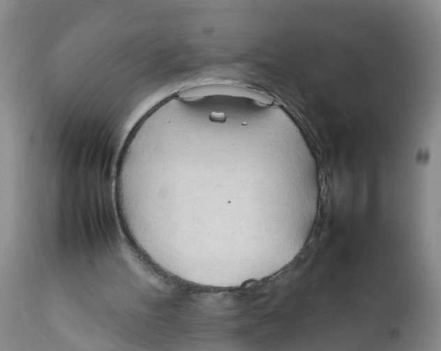 X0000111950100200908241214
