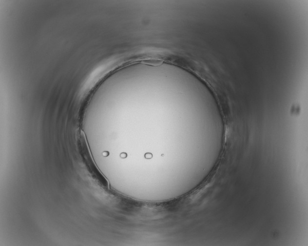 X0000111950101200908241213