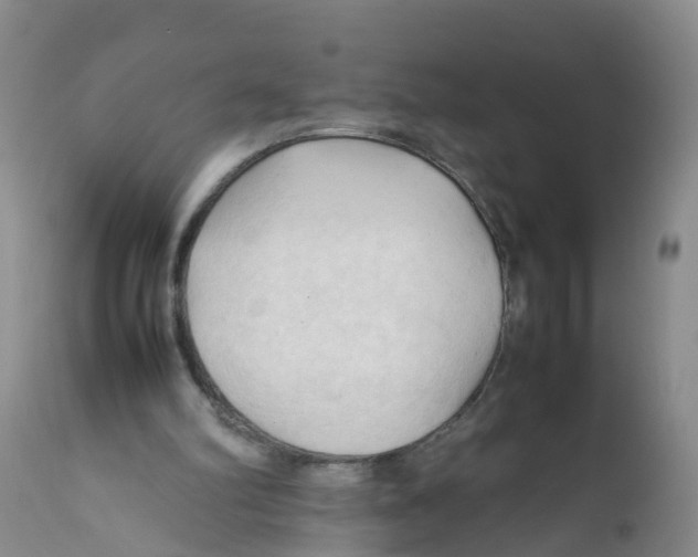 X0000111950102200908241213