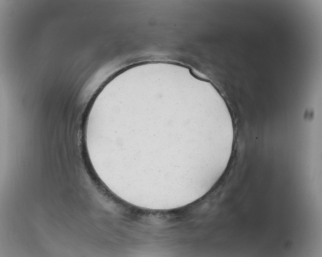 X0000111950103200908241213