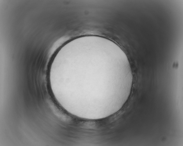 X0000111950104200908241213
