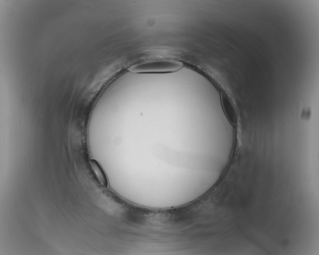 X0000111950105200908241213