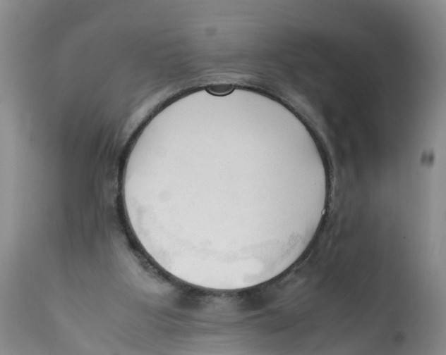 X0000111950107200908241213