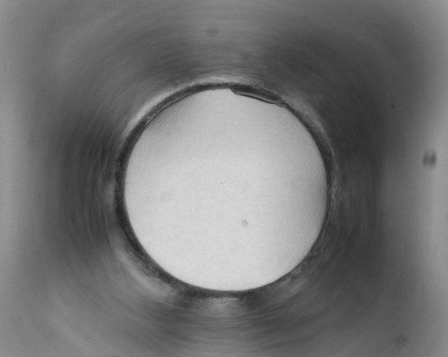 X0000111950108200908241213