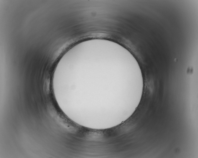 X0000111950110200908241213