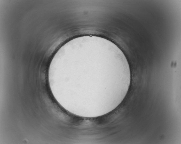 X0000111950111200908241213