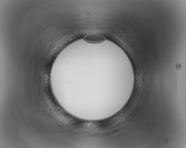 X0000111950117200908241213
