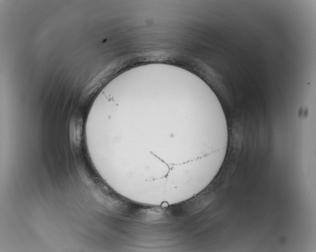 X0000111950118200908241213