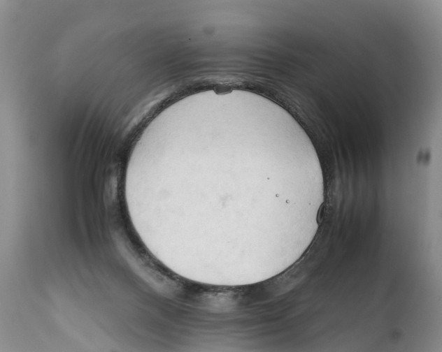 X0000111950120200908241213