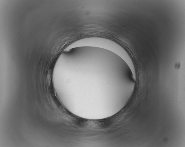 X0000111950121200908241213