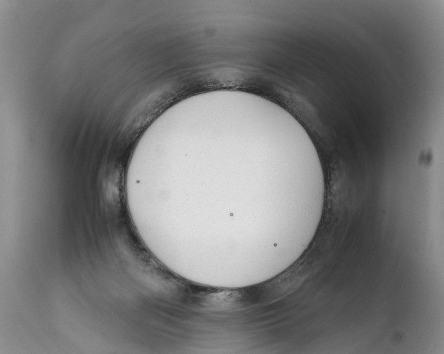X0000111950122200908241213