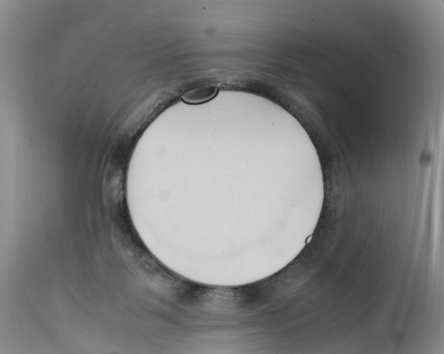 X0000111950123200908241213