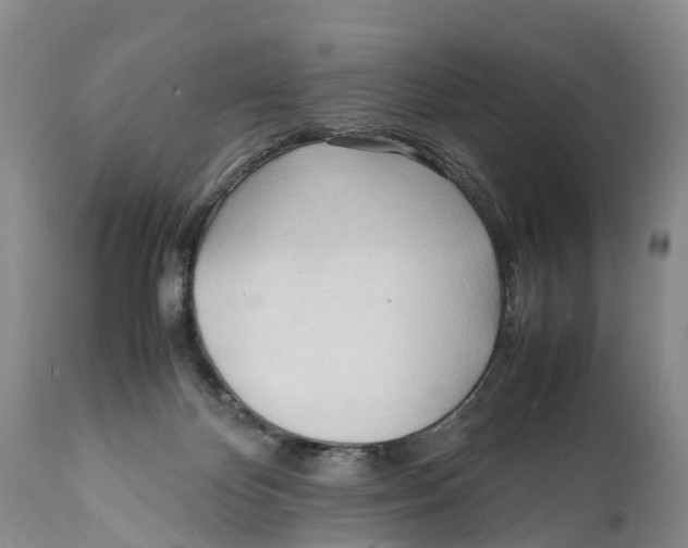 X0000111950124200908241213