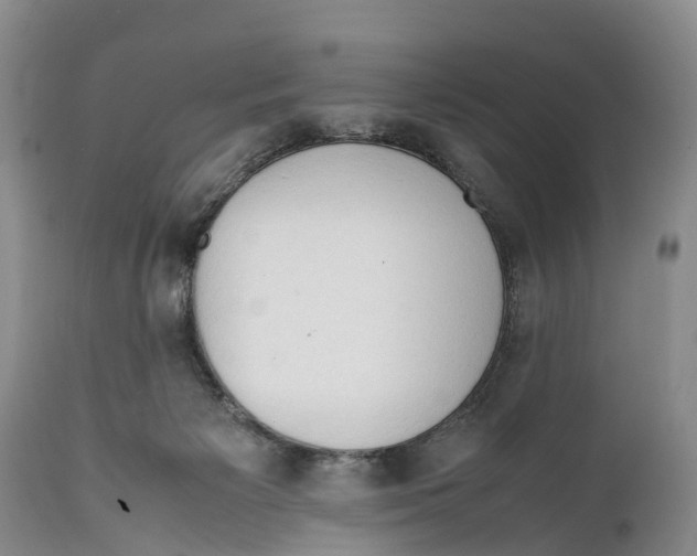 X0000111950125200908241213