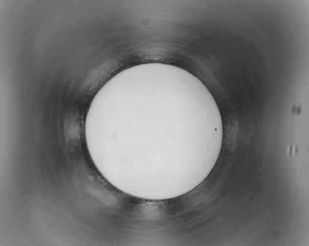 X0000111950126200908241213