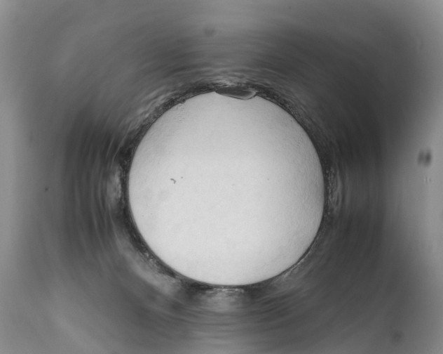 X0000111950128200908241213
