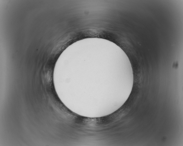 X0000111950131200908241213