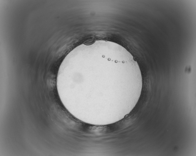 X0000111950135200908241213