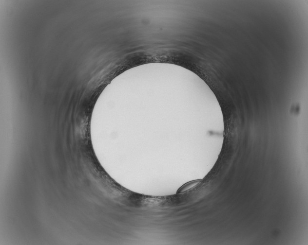X0000111950139200908241213