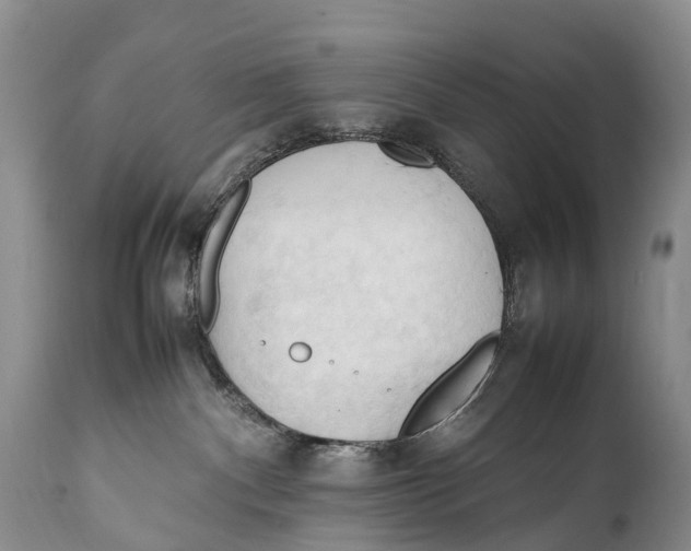 X0000111950140200908241213