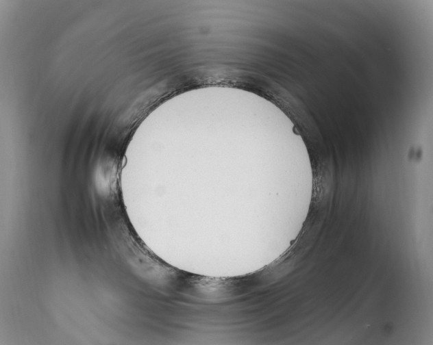X0000111950142200908241213