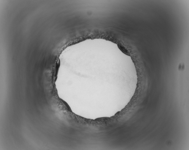 X0000111950144200908241213