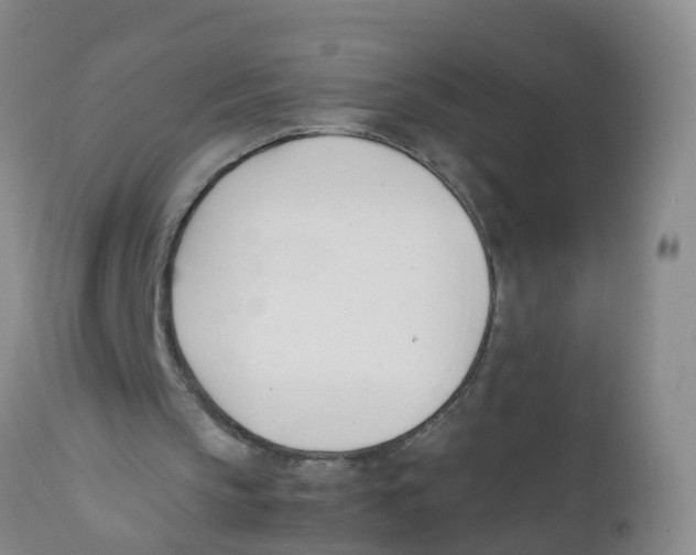 X0000111950145200908241212