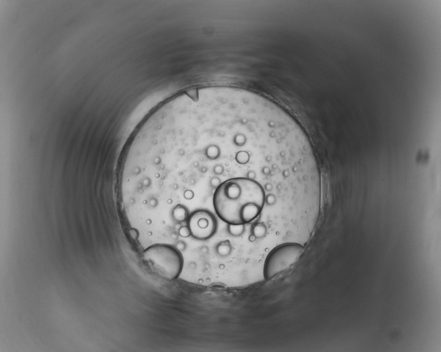 X0000111950147200908241212