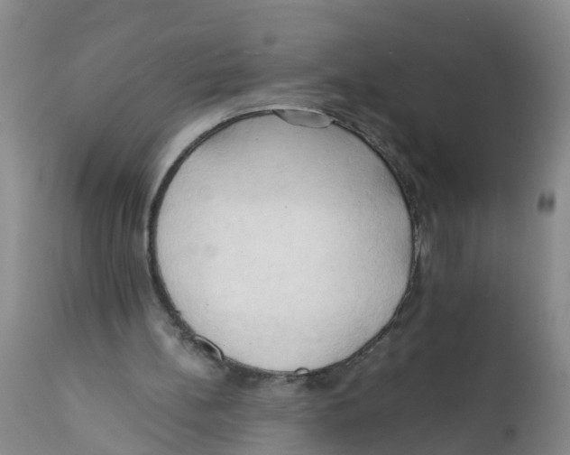 X0000111950148200908241212