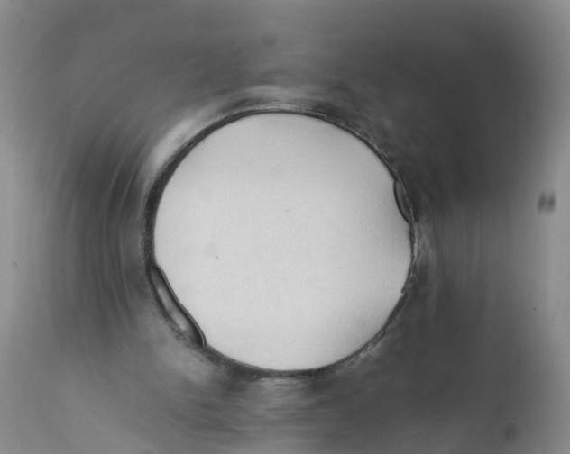 X0000111950150200908241212