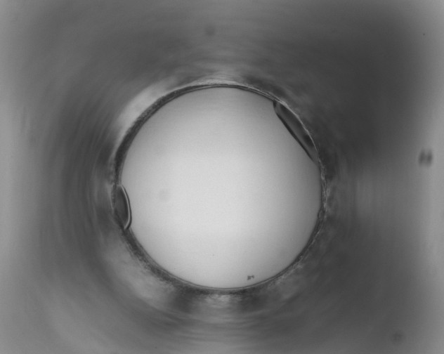 X0000111950152200908241212