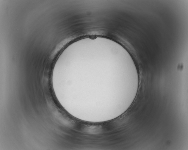 X0000111950155200908241212