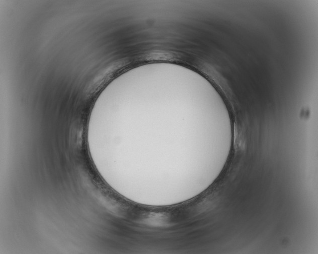X0000111950157200908241212