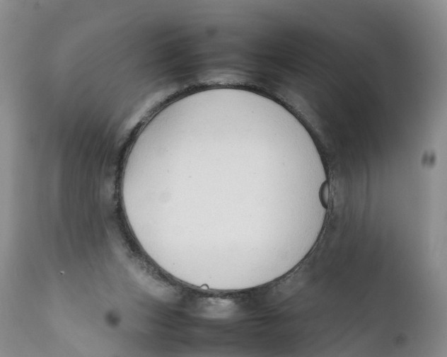 X0000111950159200908241212
