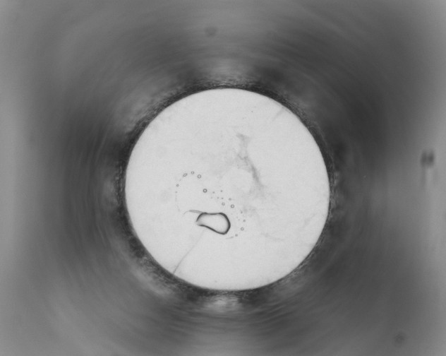 X0000111950162200908241212
