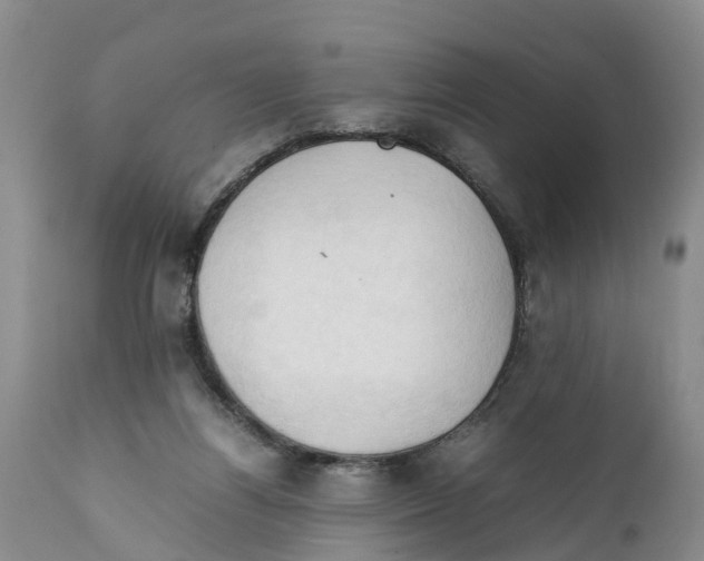 X0000111950164200908241212