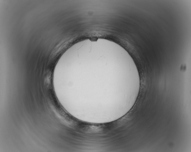 X0000111950166200908241213