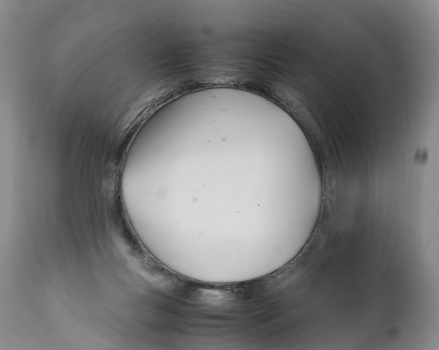 X0000111950167200908241213