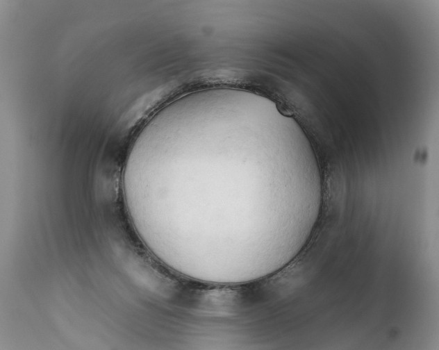X0000111950168200908241213