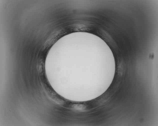X0000111950169200908241213