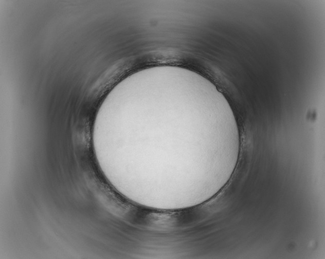 X0000111950170200908241213