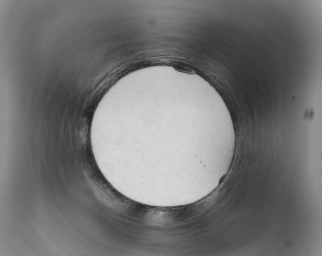 X0000111950174200908241213