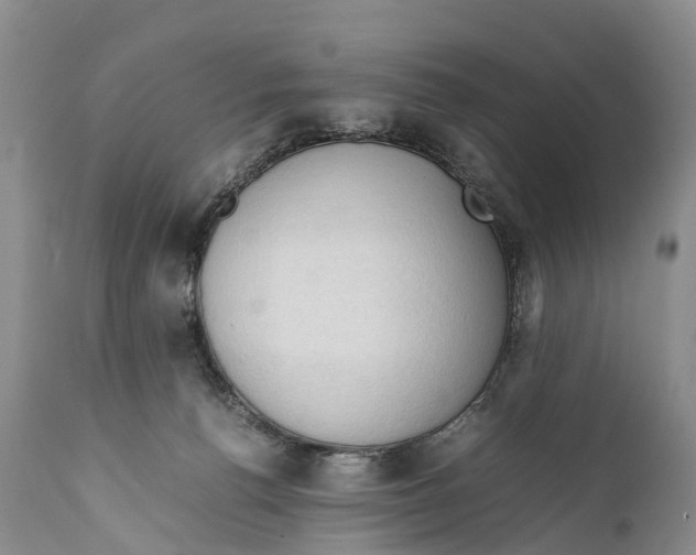 X0000111950176200908241213